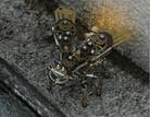 Billede af 3D Firefly Metal Puzzle